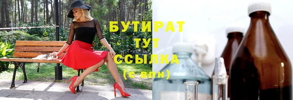 дмт Бородино