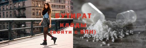 дмт Бородино