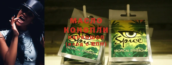 дмт Бородино
