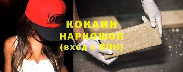 дмт Бородино