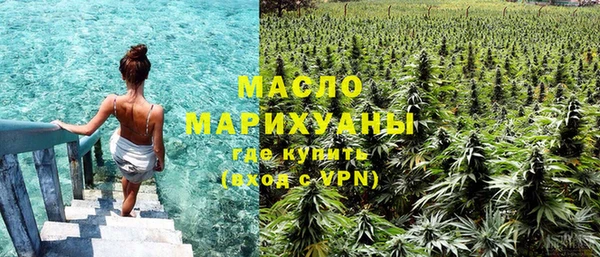 дмт Бородино