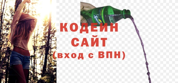 дмт Бородино