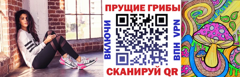 Галлюциногенные грибы прущие грибы  Купить  Тосно 